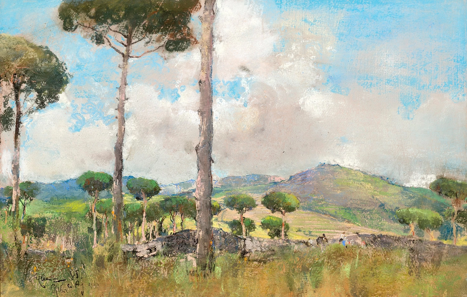 Paesaggio collinare con alberi